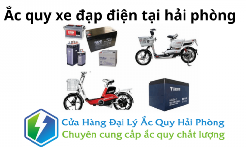 Ắc quy xe đạp điện tại Hải Phòng