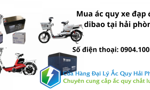 Mua ắc quy xe đạp điên dibao tại Hải Phòng