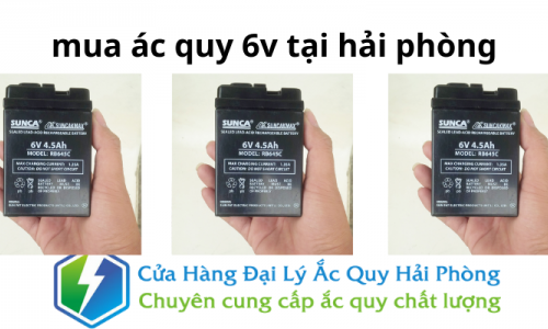 Mua ắc quy 6v tại Hải Phòng