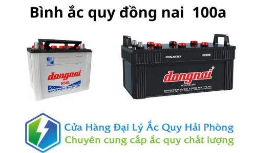 Bình ắc quy Đồng Nai 100ah tại Hải Phòng