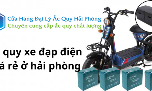 Ắc quy xe đạp điện giá rẻ ở Hải Phòng