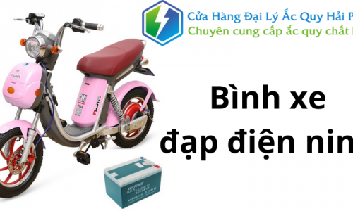 BÌNH ÁC QUY XE ĐẠP ĐIỆN NIJIA TẠI HẢI PHÒNG